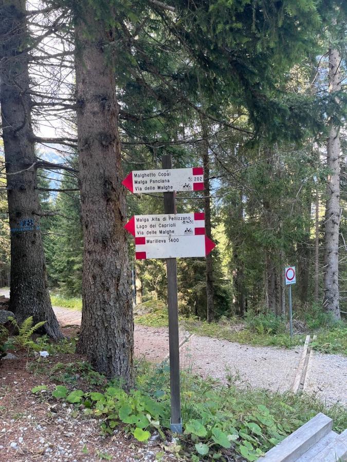 Rifugetto Διαμέρισμα Marilleva Εξωτερικό φωτογραφία